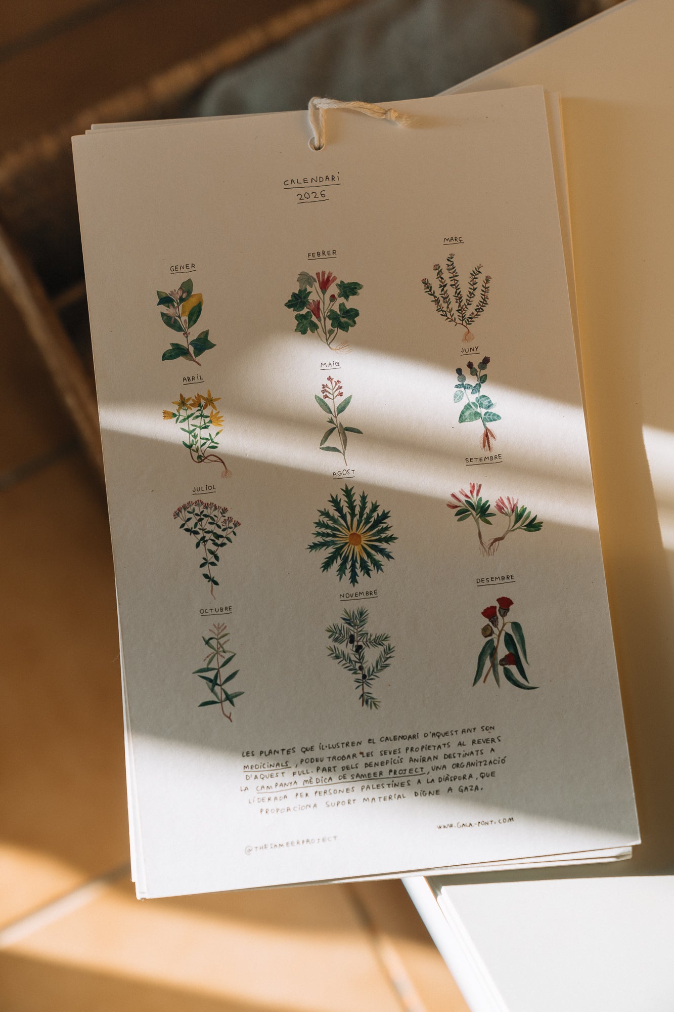 Calendario - Gala Pont